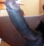 Nude black cock Black cut dick Ebony oiled asses